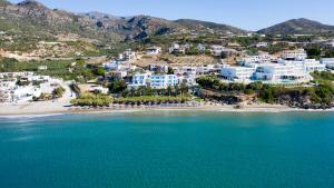 an aerial view of a beach with white buildings at Artemis in Makry Gialos