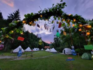 a group of tents in a field with lights at Fain in Lunca Bradului