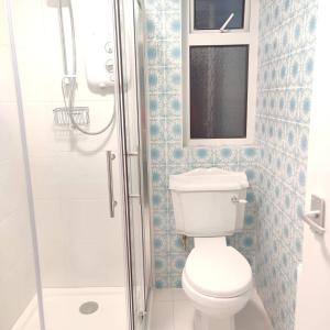 a bathroom with a toilet and a shower at Crow's Nest Glandore - 4 - Self Catering in Glandore +2 photos