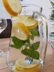 una brocca di vetro piena di fette di limone e menta di Ferienwohnung An der kleinen Schreinerei a Hallschlag