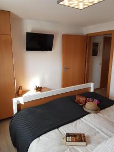 una camera da letto con un letto e una TV a parete di Ferienwohnung An der kleinen Schreinerei a Hallschlag
