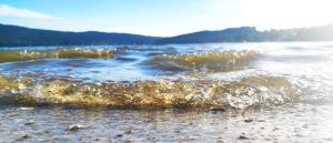 Fotografie z fotogalerie ubytování Promenáda Jasmin Lucy - Myši v botě v destinaci Lipno nad Vltavou