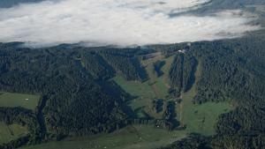 Fotografie z fotogalerie ubytování Promenáda Jasmin Lucy - Myši v botě v destinaci Lipno nad Vltavou
