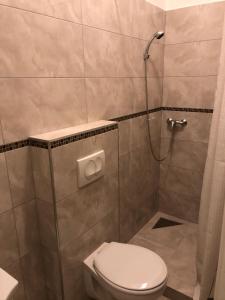 a white toilet sitting next to a shower stall at Omega Apartments Budapest in Budapest