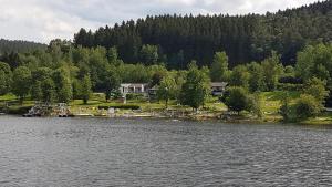 una casa sulla riva di un grande lago di Ferienwohnung An der kleinen Schreinerei a Hallschlag