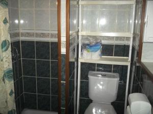 a small bathroom with a toilet and a shower at marie-Emma wifi gratuite in Beaulieu-sur-Loire +8 photos