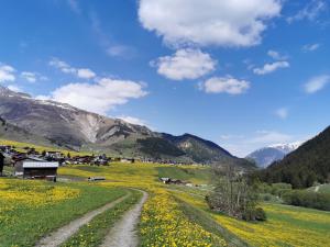 a dirt road in a field with mountains in the background at Tgèsa Dutg Grond in Sedrun