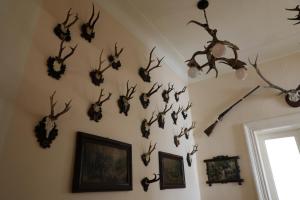 Fotografie z fotogalerie ubytování Historické apartmány Zelenohorská pošta v Nepomuku