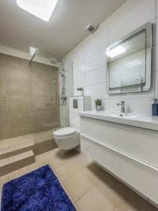 La salle de bains est pourvue de toilettes, d'un lavabo et d'une douche. dans l'établissement Il Paradiso di Malasits, à Győr