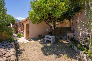 un piccolo cortile con un albero e una casa di Casa Cardiccia a Folelli