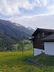 Peisaj natural din apropierea acestui apartament
