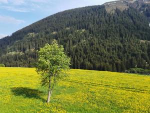 Peisaj natural din apropierea acestui apartament