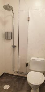 Vannituba majutusasutuses Svefi Vandrarhem - Hostel