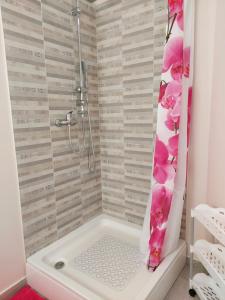 a bathroom with a shower with a white tub at Teta San in Motovun