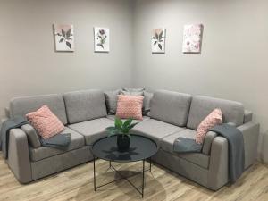a living room with a gray couch with pink pillows at Tokajský domček in Malá Tŕňa