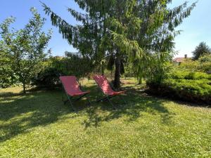 Vonkajšia záhrada v ubytovaní Chill apartman