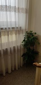 Fotografie z fotogalerie ubytování Hotel Margherita Meublè v Sirmione