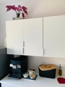 Kuchyňa alebo kuchynka v ubytovaní Apartament Basia