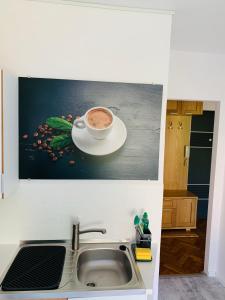 Kuchyňa alebo kuchynka v ubytovaní Apartament Basia