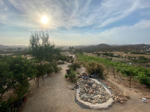 Foto da galeria de Chalet Nativo - Fabulous Terrace & Vineyard em Valle de Guadalupe