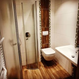 a bathroom with a toilet and a shower and a sink at Hotel-Restaurant Elsterblick in Elsteraue