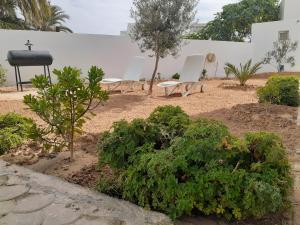 Zahrada ubytování CoZi Coliving Djerba