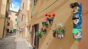 an alley with flower pots on the side of a building at Welcomely - Santa Chiara in Alghero