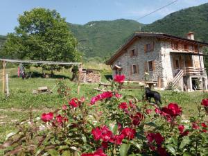 ein Steinhaus mit roten Blumen davor in der Unterkunft Ca' del Rì in Gargnano