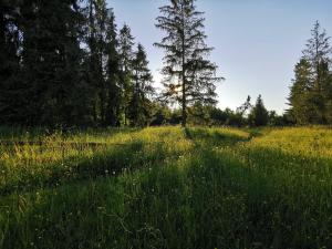 Príroda v okolí apartmánu