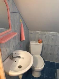 a bathroom with a white toilet and a sink at Роман in Berehove