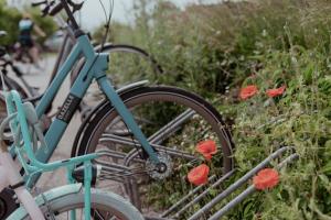 dos bicicletas estacionadas junto a unas flores rojas en Ons Buiten, en Oostkapelle