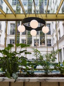 パリにあるKimpton - St Honoré Paris, an IHG Hotelの植物の木の木の間に吊るされたシャンデリア