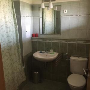 Koupelna v ubytování Club 218 Prémium Wellness Apartman + 6 fotografií