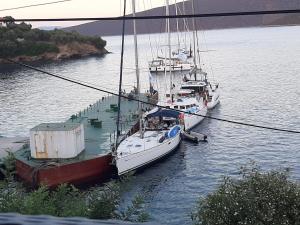 Príroda v okolí dovolenkového domu