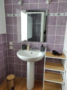 een badkamer met een wastafel en een spiegel bij Le Logis de Lou in Blars