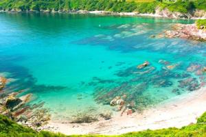 an aerial view of a beach and the ocean at Large House in Looe, Near Beach and Bars with Great Views, Free Parking and Free Access to a Nearby Indoor Swimming Pool in Looe
