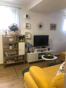 een woonkamer met een bank en een tv bij T-A APARTMENT in Rijeka Crnojevića