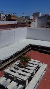 a potted plant sitting on top of a roof at Hostel Urban Sevilla in Seville