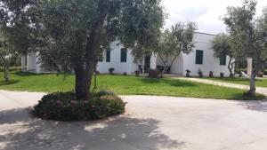Ogród w obiekcie Oasi Degli Ulivi