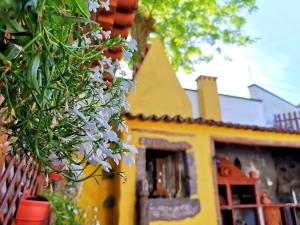 een geel huis met witte bloemen ervoor bij O Refúgio - Espaço natural, amplo e privado in Angra do Heroísmo