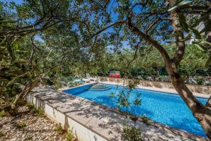 Bazén v ubytování Villa Rustica Dalmatia nebo v jeho okolí