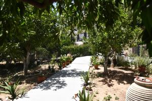 Zahrada ubytování Knossos Hotel