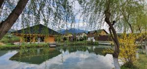 un étang devant un groupe de maisons dans l'établissement Hasienda, à Râșnov