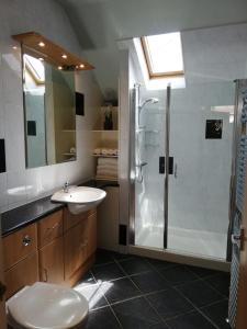 a bathroom with a shower and a toilet and a sink at The Garden Room at Dartmouth in Dartmouth