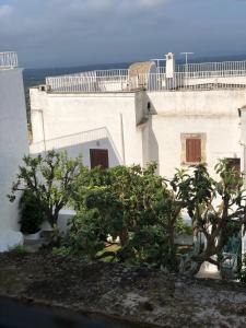 a white building with trees in front of it at Casa Federico in Ostuni