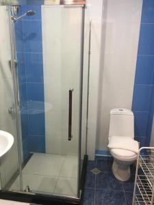 a bathroom with a shower with a toilet and a sink at Hotel Victoria-Panorama in Borjomi