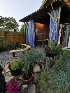 a garden with plants in front of a cabin at Green Garden house in Jūrmala