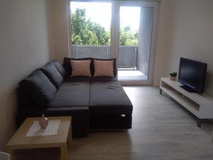a living room with a black couch and a tv at Apartmán U Parku in Hodonín