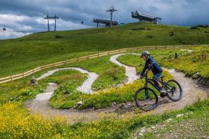 Foto dalla galleria di Pension Mitterwallner a Schladming