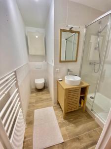 La salle de bains est pourvue d'un lavabo, de toilettes et d'une douche. dans l'établissement Capveo, à Pornichet